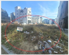  2024Ÿ5033  ý  2265-1       ()