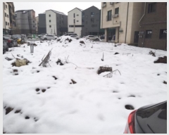  2024Ÿ5033  ý  2265-1       ()