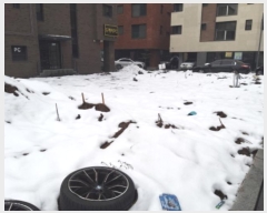  2024Ÿ5033  ý  2265-1       ()