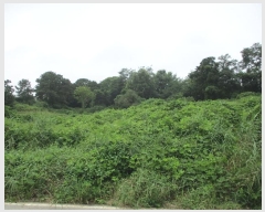  2024Ÿ��40210 ��� ���ý� ������ ��106-1       ����(�Ӿ�)���