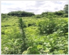  2024Ÿ��40210 ��� ���ý� ������ ��106-1       ����(�Ӿ�)���