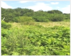  2024Ÿ��40210 ��� ���ý� ������ ��106-1       ����(�Ӿ�)���