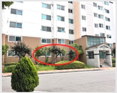  2024Ÿ��45055 ��� ���ý� ������ ���³��� 520, 102�� 1��103ȣ (�ݵ����������Ʈ)   ����Ʈ���