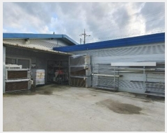  2024Ÿ��48894 ��� �ȼ��� ���׸� ȭ� 672-1      ����,â�����