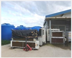  2024Ÿ��48894 ��� �ȼ��� ���׸� ȭ� 672-1      ����,â�����