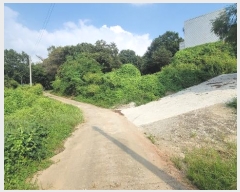  2024Ÿ��51234 ��� ���ý� û���� �ѻ긮 420      ����(��)���