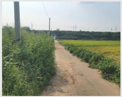  2024Ÿ��51234 ��� ���ý� û���� �ѻ긮 420      ����(��)���