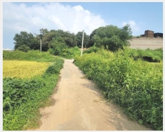  2024Ÿ��51234 ��� ���ý� û���� �ѻ긮 420      ����(��)���