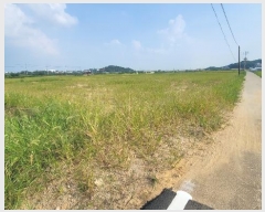  2024Ÿ��51234 ��� ���ý� û���� �ѻ긮 420      ����(��)���