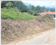  2024Ÿ��51715 ��� �ȼ��� ���׸� ���� 245-4      ����(�Ӿ�)���