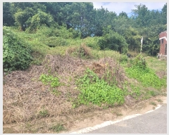  2024Ÿ��51715 ��� �ȼ��� ���׸� ���� 245-4      ����(�Ӿ�)���