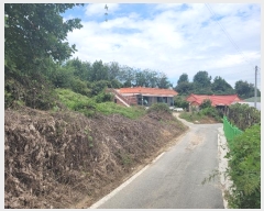  2024Ÿ��51715 ��� �ȼ��� ���׸� ���� 245-4      ����(�Ӿ�)���