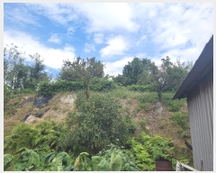  2024Ÿ��51715 ��� �ȼ��� ���׸� ���� 245-4      ����(�Ӿ�)���