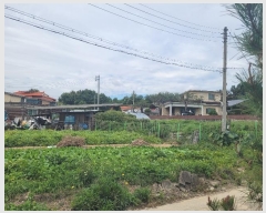  2024Ÿ��51715 ��� �ȼ��� ���׸� ���� 245-4      ����(�Ӿ�)���