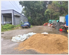  2024Ÿ��52534 ��� �ȼ��� ���׸� ���̸� 462-8      ����(�Ӿ�)���