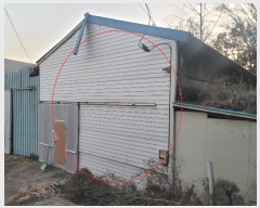  2024Ÿ��52534  ������