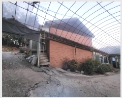  2024Ÿ��52534 ��� �ȼ��� ���׸� ���̸� 462-8      ����(�Ӿ�)���