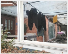  2024Ÿ��52534 ��� �ȼ��� ���׸� ���̸� 462-8      ����(�Ӿ�)���