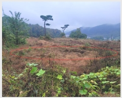  2024Ÿ��52534 ��� �ȼ��� ���׸� ���̸� 462-8      ����(�Ӿ�)���