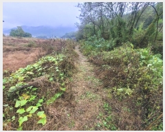  2024Ÿ��52534 ��� �ȼ��� ���׸� ���̸� 462-8      ����(�Ӿ�)���