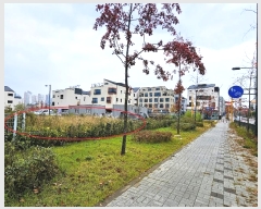  2024Ÿ53629  ý  2646-2       ()