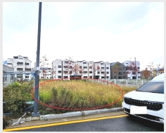  2024Ÿ53629  ý  2646-2       ()