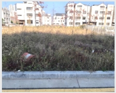  2024Ÿ53629  ý  2646-2       ()