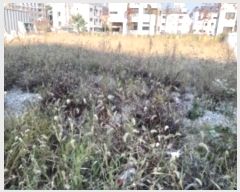  2024Ÿ53629  ý  2646-2       ()