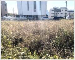  2024Ÿ53629  ý  2646-2       ()