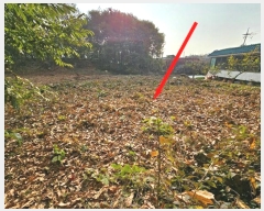  2024Ÿ54769  ý  ſ 234-1      ()