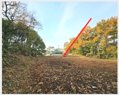  2024Ÿ54769  ý  ſ 234-1      ()