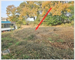  2024Ÿ54769  ý  ſ 234-1      ()