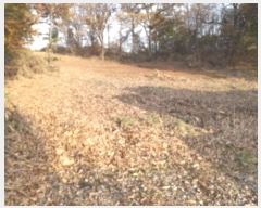  2024Ÿ54769  ý  ſ 234-1      ()