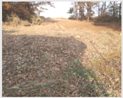  2024Ÿ54769  ý  ſ 234-1      ()