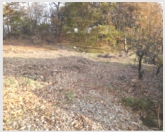  2024Ÿ54769  ý  ſ 234-1      ()