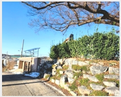  2024Ÿ��54905 ��� �ȼ��� ��յ� 353       ���ð��