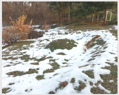  2024Ÿ��55755  �Ӿ߰��