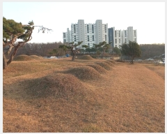  2024Ÿ��55755  �Ӿ߰��