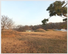  2024Ÿ��55755  �Ӿ߰��