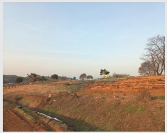  2024Ÿ��55755  �Ӿ߰��