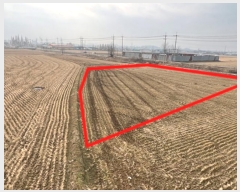  2024Ÿ56185  ý ؼ ø 386-1      ()