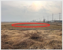  2024Ÿ56185  ý ؼ ø 386-1      ()