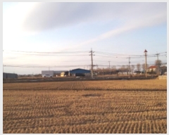  2024Ÿ56185  ý ؼ ø 386-1      ()