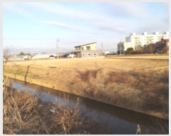  2024Ÿ56185  ý ؼ ø 386-1      ()