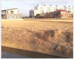  2024Ÿ56185  ý ؼ ø 386-1      ()