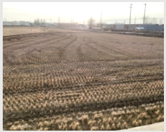  2024Ÿ56185  ý ؼ ø 386-1      ()