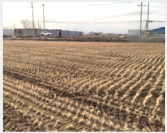  2024Ÿ56185  ý ؼ ø 386-1      ()