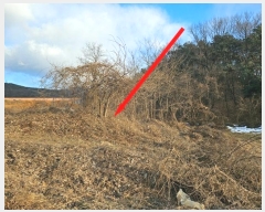  2024Ÿ57027  ȼ  Ŵɸ 64-2      (Ӿ)