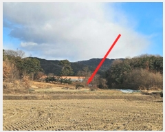  2024Ÿ57027  ȼ  Ŵɸ 64-2      (Ӿ)