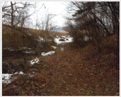  2024Ÿ57027  ȼ  Ŵɸ 64-2      (Ӿ)